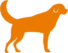犬